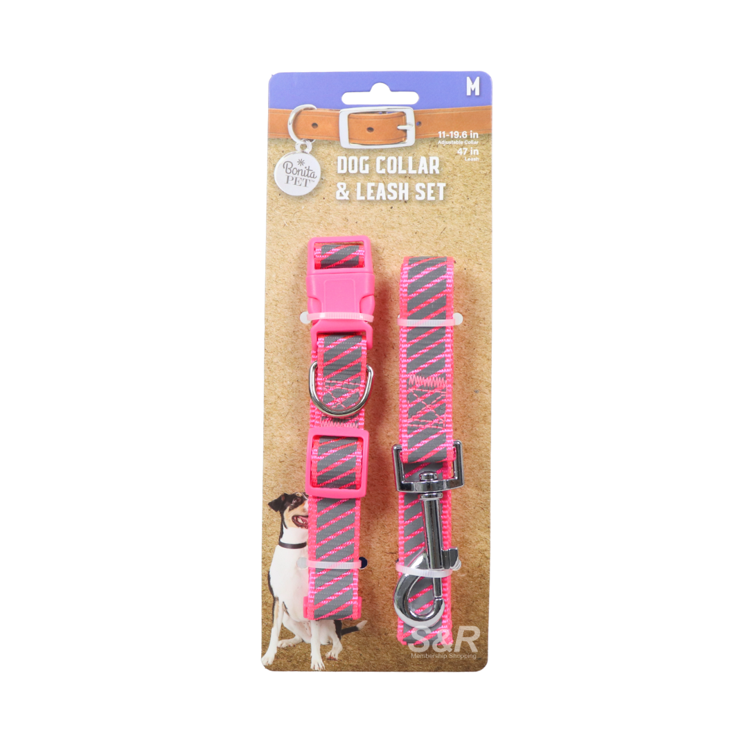 Bonita Pet 11-19.6in Dog Collar and 47in Leash Set